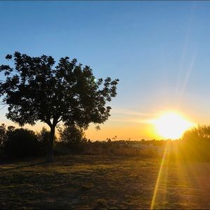 Meet your Posher, Tomoko